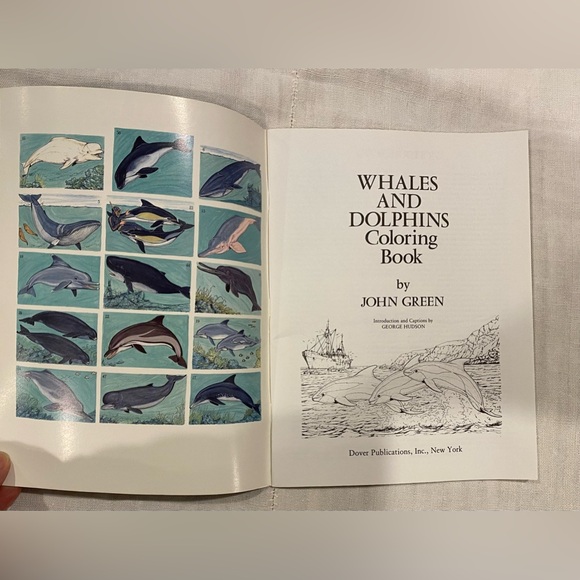 2  books - 1-2-3 DRAW cartoon sea creatures & whales & dolphins coloring book - Picture 6 of 8